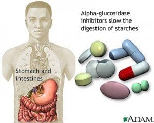 Alpha-Glucosidase Inhibitors