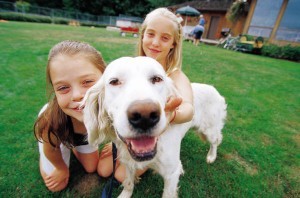 Dogs Helping Diabetics