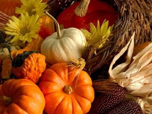 Thanksgiving Ideas For Diabetics