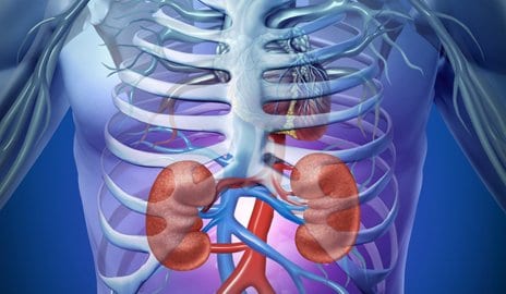 diabetes and kidney disease