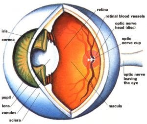 eye stroke