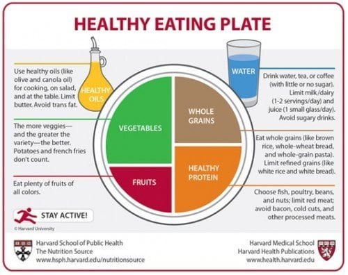 Harvard Launches Healthy Eating Plate