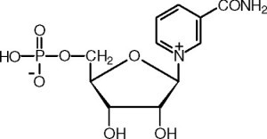 Natural Compound Helps Reverse Type 2 Diabetes in Mice