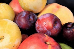 Three Fruits Lessens Chance For Obesity and Diabetes