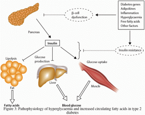 Lack of Sleep in Teens Proving Insulin Resistance