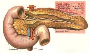 Trial Results In On New Artificial Pancreas