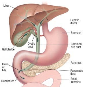 Take Type 2 Diabetes Medications - Risk of Pancreatitis