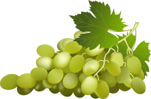 Can Grapes Protect Against Metabolic Syndrome-Related Organ Damage?