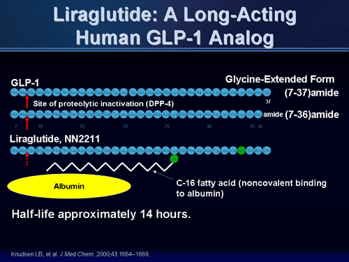 Diabetic Drug Liraglutide Decreasing Heart Disease Risks