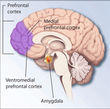 Women’s Risk of Type 2 Diabetes Double when Coupled with PTSD